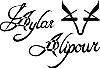 Aylaralipourcollection